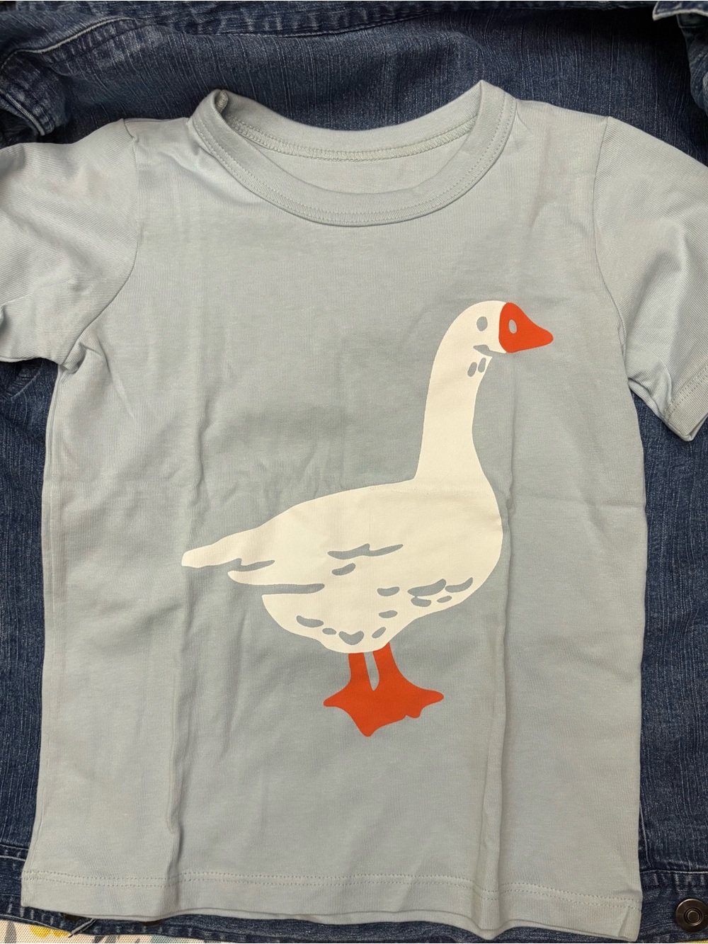 Light Blue Kids Goose and earth graphic tee. Selling two shirts. Organic cotton